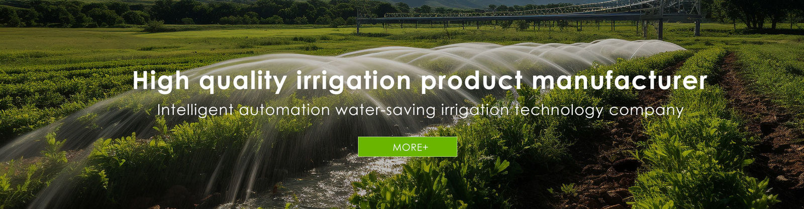 Bewatering van het druppelband