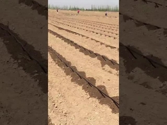 Druppelbewateringstape